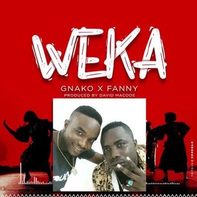Download Audio | G Nako & Fany – Weka (Instrumental)