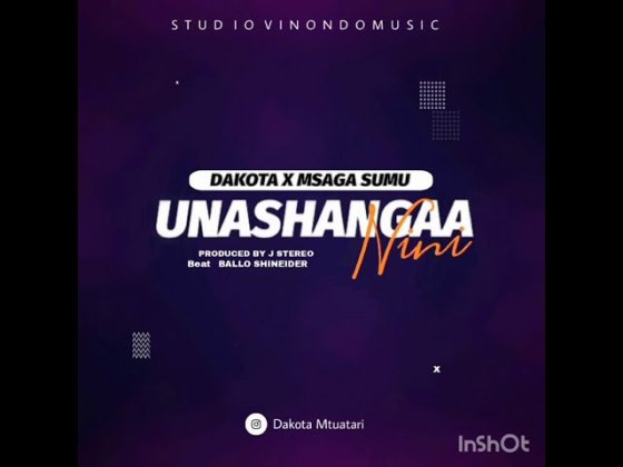 Download Audio | Dakota ft Msaga Sumu – Unashangaa Nini