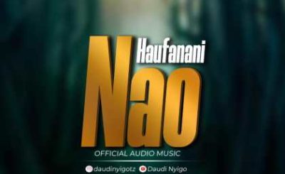 Download Audio | Daudi Nyingo – Haufanani Nao