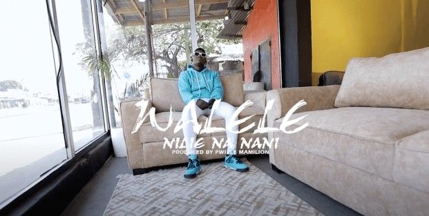 Download Video | Walele – Nilie na Nani