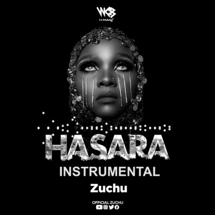 Download Audio | Zuchu – Hasara (Instrumental)