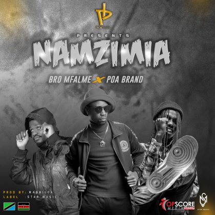 Download Audio | Bro Mfalme ft Poa Brand – Namzimia