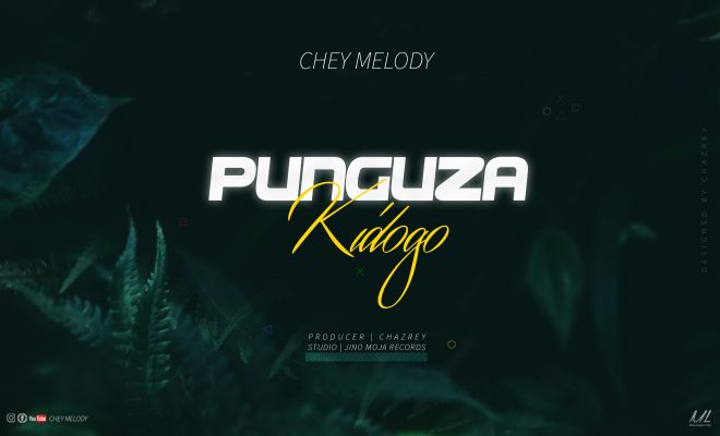 Download Audio | Chey Melody – Punguza Kidogo