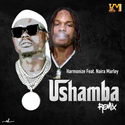Download Audio | Harmonize ft Naira Marley – Ushamba Remix