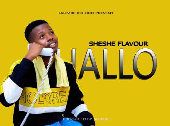 Download Audio | Sheshe Flavour – Hallo