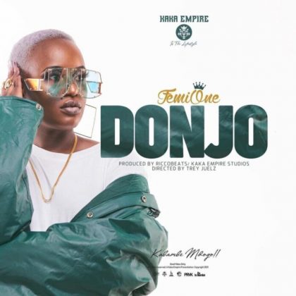 Download Audio | Femi One – Donjo