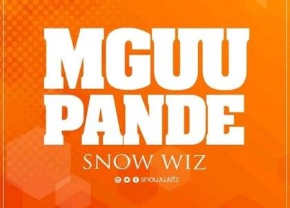 Download Audio | Snow Wiz – Mguu Pande