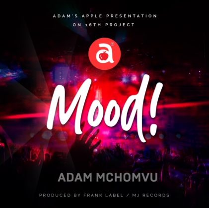 Download Audio | Adam Mchomvu ft Dibo – Mood