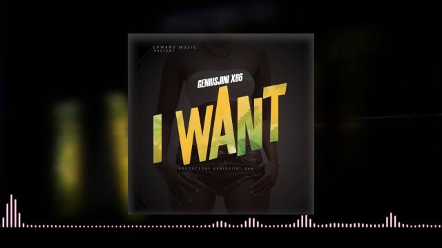 Download Audio | GeniusJini x 66 – I Want (Demo)