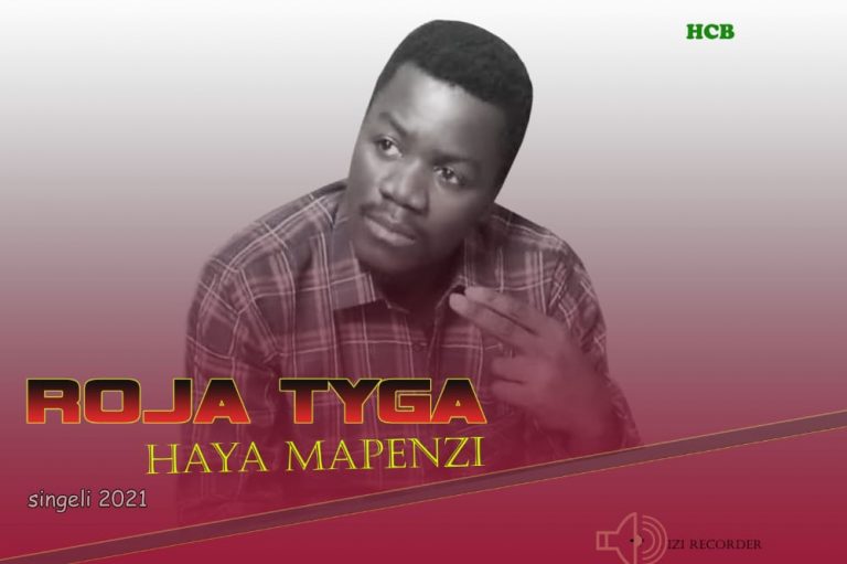Download Audio | Roja Tyga – Haya Mapenzi (Singeli)