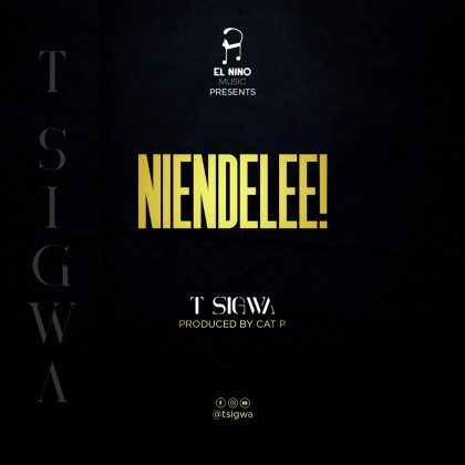 Download Audio | T Sigwa – Niendelee
