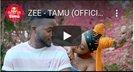 Download Video | Zee Cute – Tamu