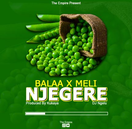 Download Audio | Balaa x Meli – Njegere