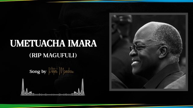 Download Audio | Peter Msechu – Magufuli Umetuacha Imara