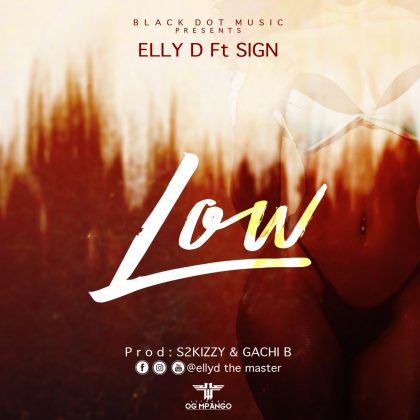 Download Audio | Elly D ft Sign – Low