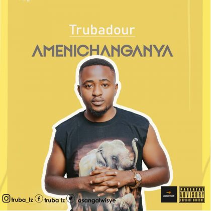Download Audio | Trubadour – Amenichanganya