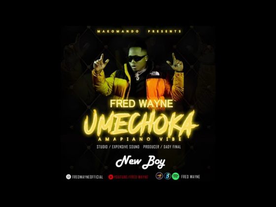 Download Audio | Fred Wayne – Umechoka