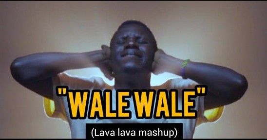 Download Video | Mauzzo – Wale Wale (Mashup)