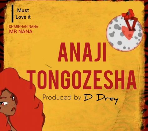 Download Audio | Mr Nana – Anajitongozesha