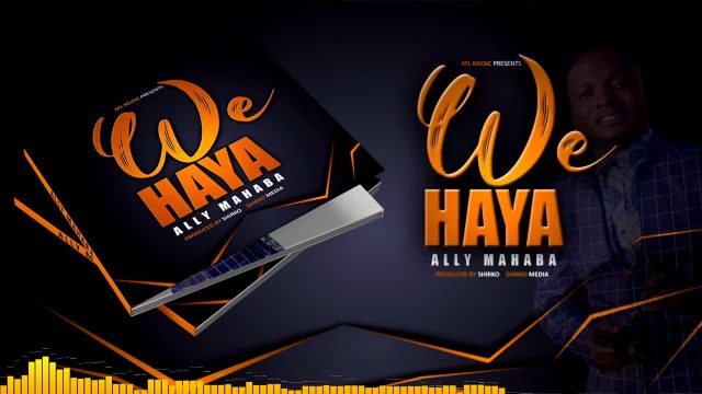 Download Audio | Ally Mahaba – Haya Wee