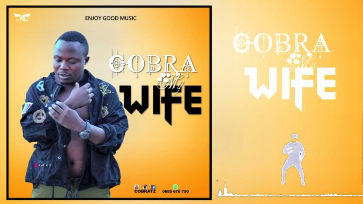 Download Audio | Cobra – My Wife