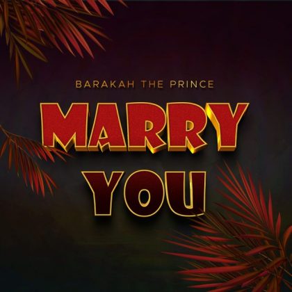 Download Audio | Barakah The Prince – Marry You