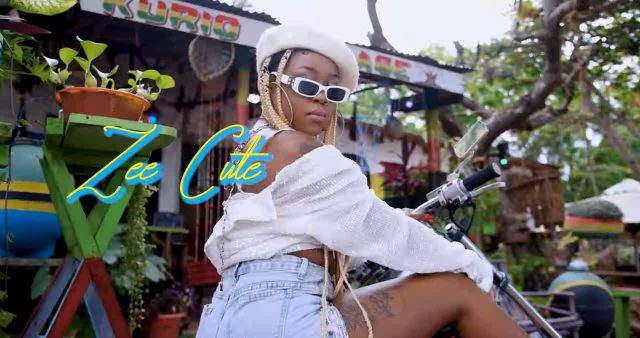 Download Video | Zee Cute – Party after Party