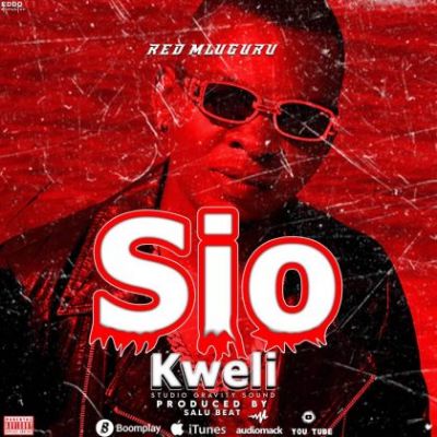 Download Audio | Red Mluguru – Sio Kweli