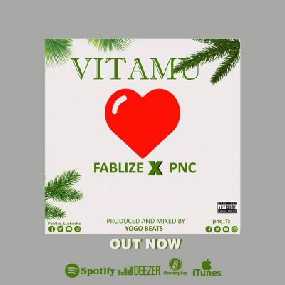 Download Audio | PNC ft Fabliz – Vitamu