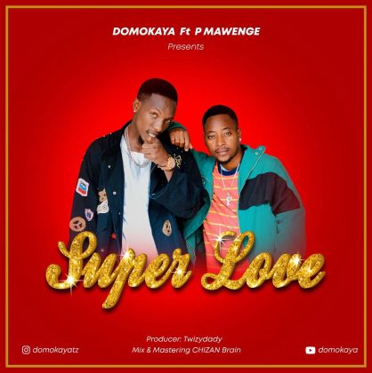 Download Audio | Domokaya ft P Mawenge – Super Love