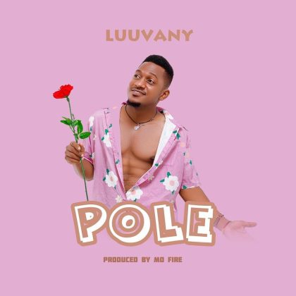 Download Audio | Luuvany – Pole