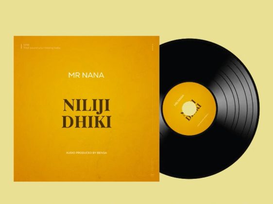 Download Audio | Mr Nana – Nilijidhiki