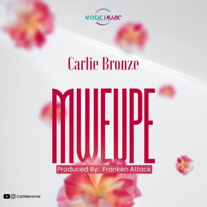 Download Audio | Carlie Bronze – Mweupe