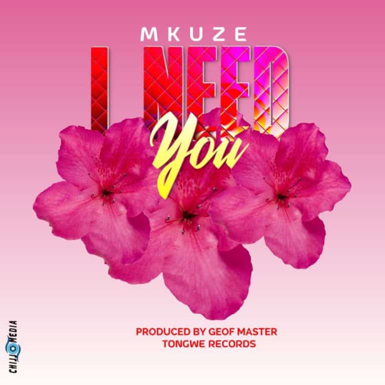 Download Audio | Mkuze – I Need you