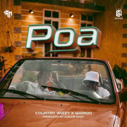 Download Audio | Country Wizzy ft Marioo – Poa