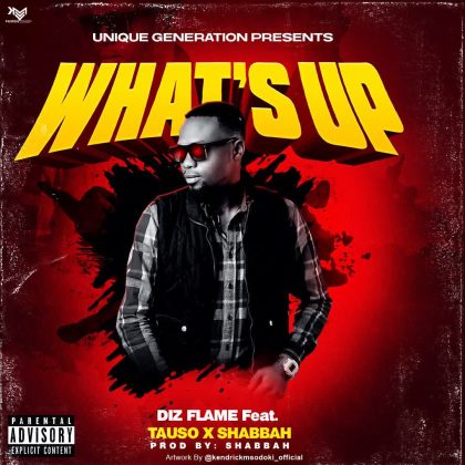Download Audio | Diz flame Ft. ShabbahBeatz × Tauso – Whats Up