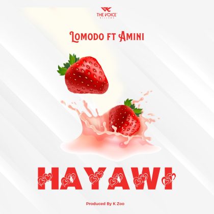 Download Audio |  Lomodo Ft. Amini – Hayawi