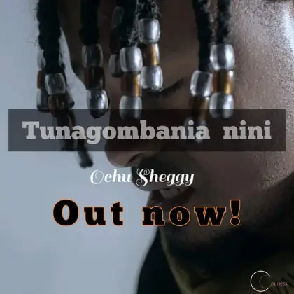 Download Audio | Ochu Sheggy – Tunagombania nini