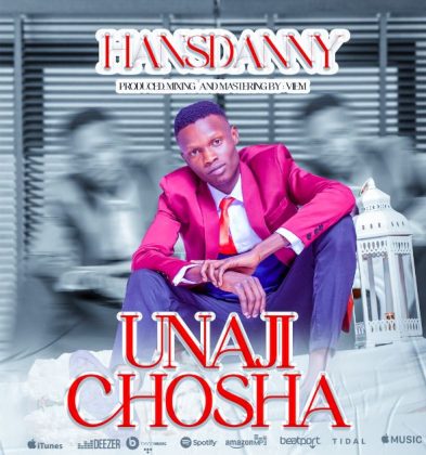 Download Audio | Hansdanny – Unajichosha