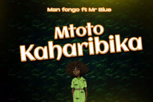 Download Audio | Man Fongo Ft. Mr Blue – Mtoto Kaharibika