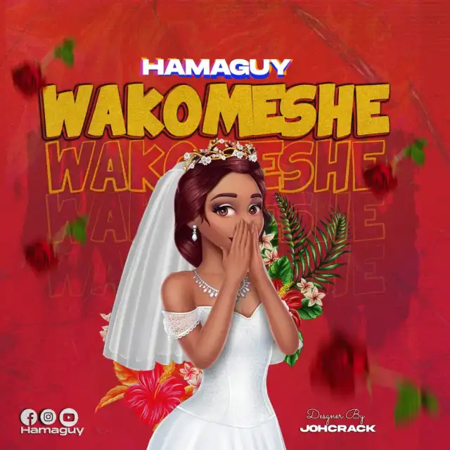 Download Audio | HamaGuy – Wakomeshe