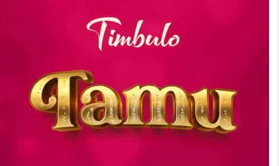 Download Audio | Timbulo – Tamu