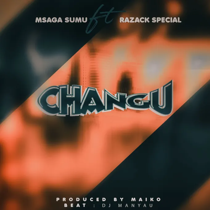 Download Audio | Msaga Sumu Ft. Razack Spesho – Changu Remix