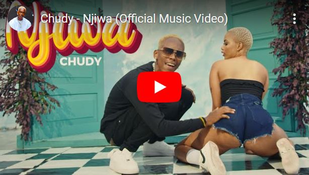 Download Video | Chudy – Njiwa