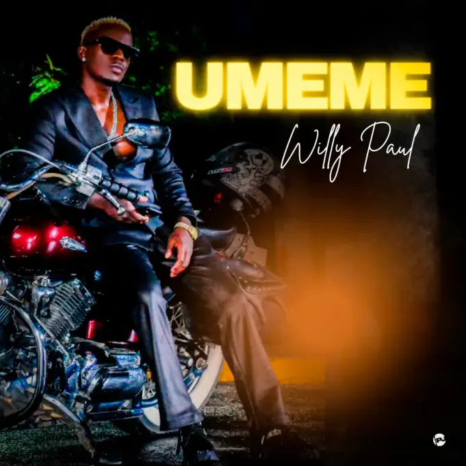 Download Audio | Willy Paul – Umeme