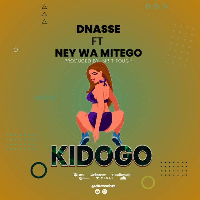 Download Audio | Dnasse Ft. Nay Wa Mitego – Kidogo