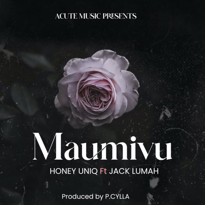 Download Audio | Honeey Unique Ft. Jack Lumah – Maumivu