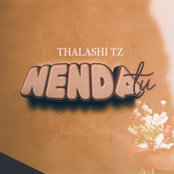 Download Audio | Thalashi Tz – Nenda Tu