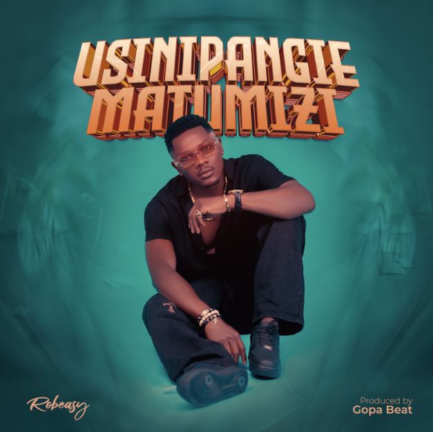 Download Audio | Robeasy – Usinipangie Matumizi