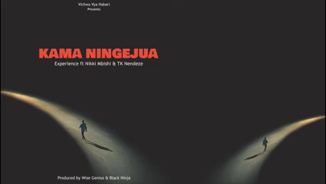 Download Audio |  Experience Ft. Nikki Mbishi & TK Nendeze – Kama Ningejua